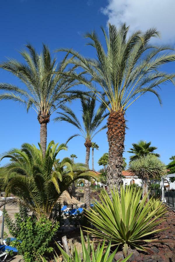 דירות מספאלומס Parque Golf Fresh מראה חיצוני תמונה